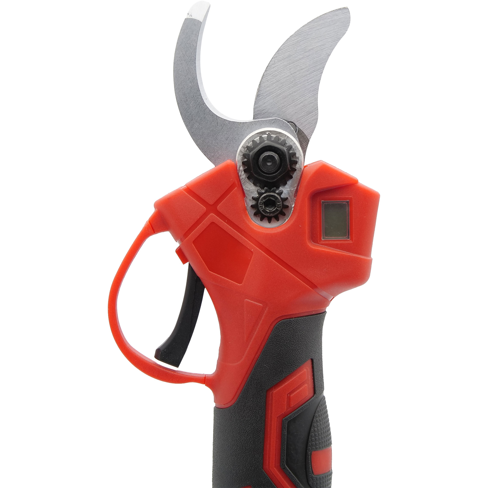 SAP-21.28BM-7